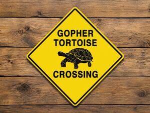 Gopher Tortoise Crossing Road Sign Warning Georgia National Park State Forest